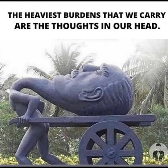 Meet your Posher, Amelianaire - Picture 4 of 6